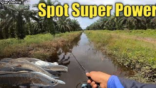 Spot Ini Memang Sangat Menggiurkan Para Angler [upl. by May]