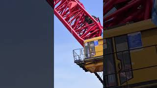 Super UltraLarge Crawler Crane shorts [upl. by Atiuqcaj]