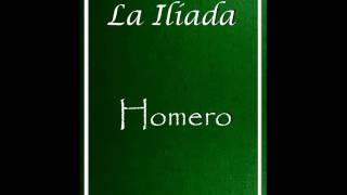 LA ILIADA  HOMERO AUDIOLIBRO COMPLETO CANTO 1324 [upl. by Ailefo547]