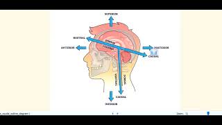 Kanski Clinical Ophthalmology Made Easy  Neuro ophthalmology 12 oculomotor nerve palsy [upl. by Deraj]