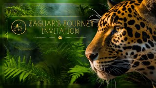 Jaguars Journey Invitation [upl. by Niwde]