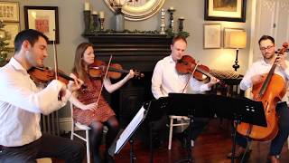 Harry Potter  John Williams Didsbury String Quartet [upl. by Ebsen]