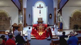 Holy Spirit Catholic Church Live Stream [upl. by Regdor]