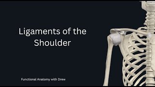 Ligaments of the shoulder [upl. by Marlon503]