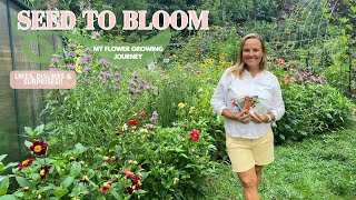 A Flower Garden Started Entirely From Seed  Im Spilling The Seeds  The Southern Daisy [upl. by Jorie]