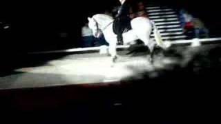 Andalusian Stallion Jazz Dance [upl. by Asirac]