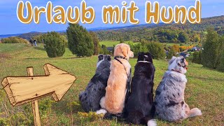 Die Reportage  Urlaub mit Hund in Brang´s Hundeparadies Eifel [upl. by Conti629]