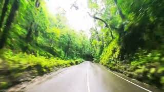 Driving in JamaicaFern gully Ocho Rios Jamaica [upl. by Rancell]