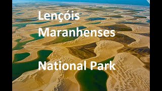 Lençóis Maranhenses National Park wildlife amazing nationalpark brazil fyp [upl. by Ume]