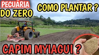 Como plantar o melhor capim passo a passo do plantio manual do Myiagui PROJETO PECUÁRIA DO ZERO [upl. by Piotr]