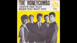 THE HONEYCOMBS  Thats the way [upl. by Kilbride]