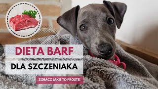 Jak przygotować dietę BARF dla szczeniaka Jak wprowadzić psu dietę BARF [upl. by Toolis]