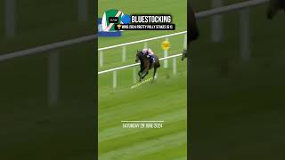 🔵BLUESTOCKING wins the G1 Pretty Polly Stakes🏆 [upl. by Drarej]