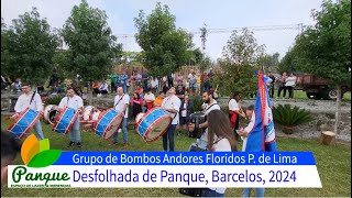 Grupo de Bombos Andores Floridos Ponte de Lima 02 [upl. by Atinuhs]