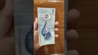 Maldives 5 Rufiyaa Banknote [upl. by Anahsahs]