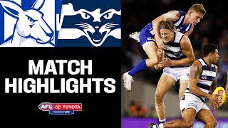 North Melbourne v Geelong Highlights  Round 8 2019  AFL [upl. by Malek672]