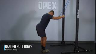 Banded Pulldown  OPEX Exercise Library [upl. by Nilkoorb]