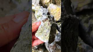 Finding gold  Natural gold catch part 11crystals goldminers goldclothing gemstone youtuber [upl. by Bowman]