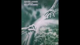 TORBJORN LANGBORN amp THE FEEL LIFE ORCHESTRAFeel life part 1 2 amp 3 [upl. by Sandstrom]