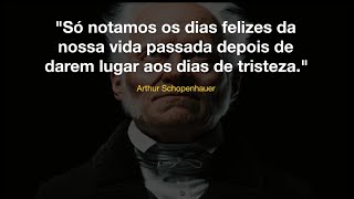 Só notamos os dias felizes da nossa vida depois de darem lugar aos dias de tristeza  Schopenhauer [upl. by Olga430]