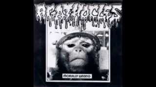 Agathocles  Violent Noise Attack FULL SPLIT [upl. by Nrubloc292]