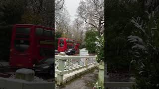 Early snowing started Winter season🇬🇧🇬🇧19112024 England [upl. by Salisbury]