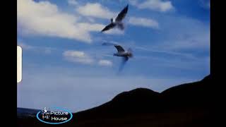 Scottish Highland Road Scenes 1972 [upl. by Hastings]