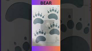 8 interesting facts of animal foot prints wildlife footprints knowledge alliswell988 [upl. by Wesley639]