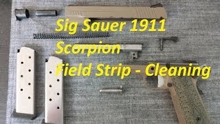 Sig Sauer 1911 Scorpion  Field Strip [upl. by Ennaehr]