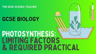 GCSE Biology Photosynthesis Required Practical AQA OCR Edexcel [upl. by Nacim182]