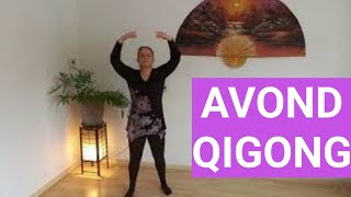 10Minuten Avond Qigong Qigong Routine for Beginners [upl. by Sandler]