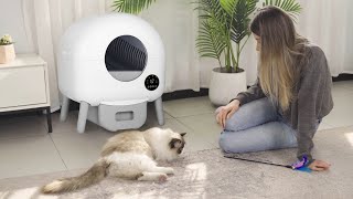 Self Cleaning Litter Box freeing your hands🐱 [upl. by Mello]