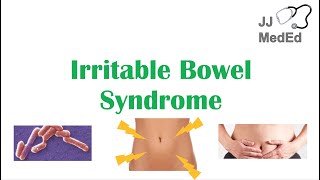 Irritable Bowel Syndrome IBS Causes Symptoms Bristol Stool Chart Types and Treatment [upl. by Karine]