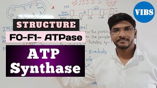 ATP Synthase Structure F0F1ATPase ETC Oxidative Phosphorylation [upl. by Enelrad]