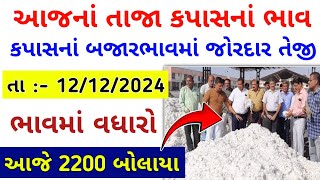 Kapas Na Bhav । 19112024 । કપાસ ના ભાવ  Information about cotton crop price  આજનાં તાજા બજારભાવ [upl. by Althea]