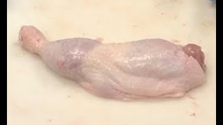 Deboning a Chicken legthigh quarter [upl. by Repohtsirhc646]