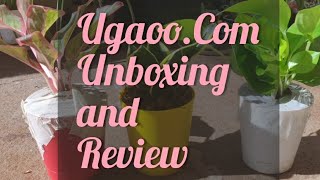 Ugaoocom Unboxing amp Review  Buy plants online ugaoocom unboxing review onlineplants [upl. by Lower]