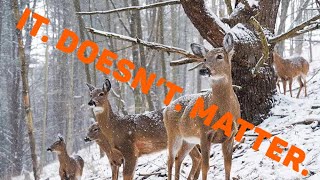 Late Season Doe Harvest [upl. by Aihsekat]