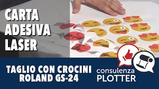 Scontorno di adesivi stampanti su CARTA adesiva con crocini di registro e tagliati con Roland GS24 [upl. by Lattimer]