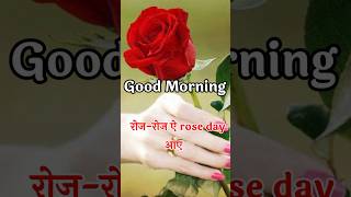 rose day good morning status 🌹 rose day status good morning 🌹 good morning rose day WhatsApp status [upl. by Latsyc]