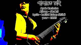 Palate Chai Ayub Bachchu [upl. by Atinrahc]