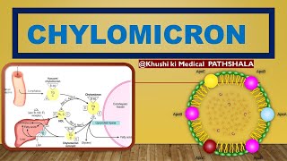 METABOLISM OF CHYLOMICRON  STRUCTURE AND FUNCTIONS [upl. by Radley]