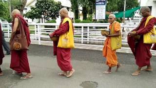 Dhamma rally 2017 1st day rally start in diksha bhumi nagpur [upl. by Lonne]