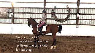 Dressage Quick Tips How to Walk Pirouette Turn on the Haunches [upl. by Josee]