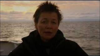 Laurie Anderson  Hey Ah Burning Ice 2008 [upl. by Chiou]