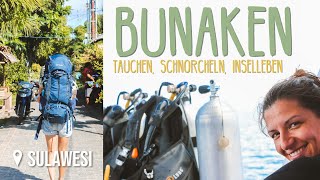 Schnorcheln amp Tauchen bei Bunaken • Sulawesi • Weltreise Vlog [upl. by Teeter905]