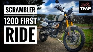 2019 Triumph Scrambler 1200 XE Review [upl. by Valerio]