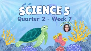 SCIENCE 5  QUARTER 2  WEEK 7 [upl. by Assirrem]