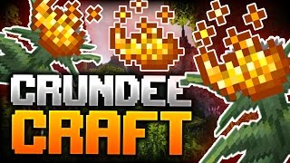 Minecraft WE ARE GOING TO GROW DIAMONDS  CRUNDEE CRAFT [upl. by Enidanreb]