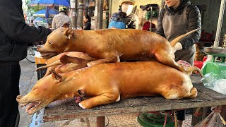 Discover the best dog meat market in Vietnam the girl filters dog meat very professionally [upl. by Ahsiuqram118]